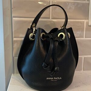 Anna Paola Handbag